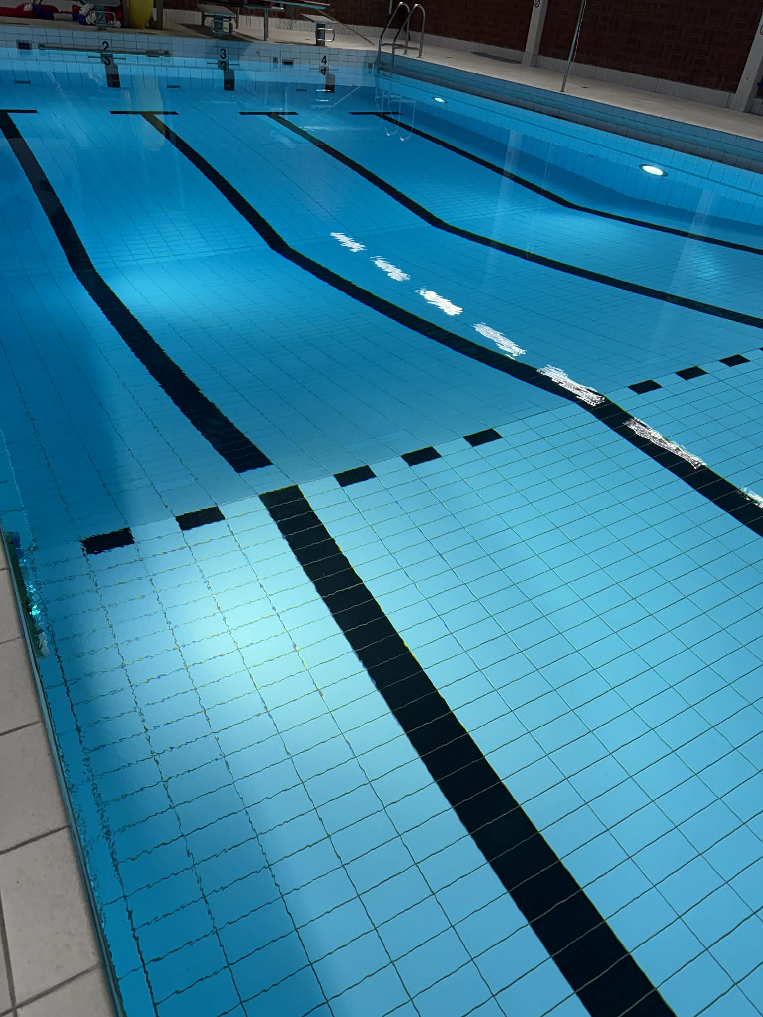 news image for: Nyheter