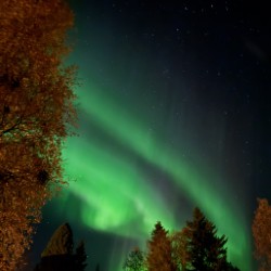 news image for: Nyheter