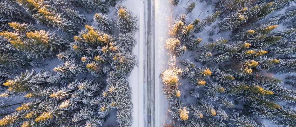 Översiktsbild på skogsväg. Snö ligger på marken.