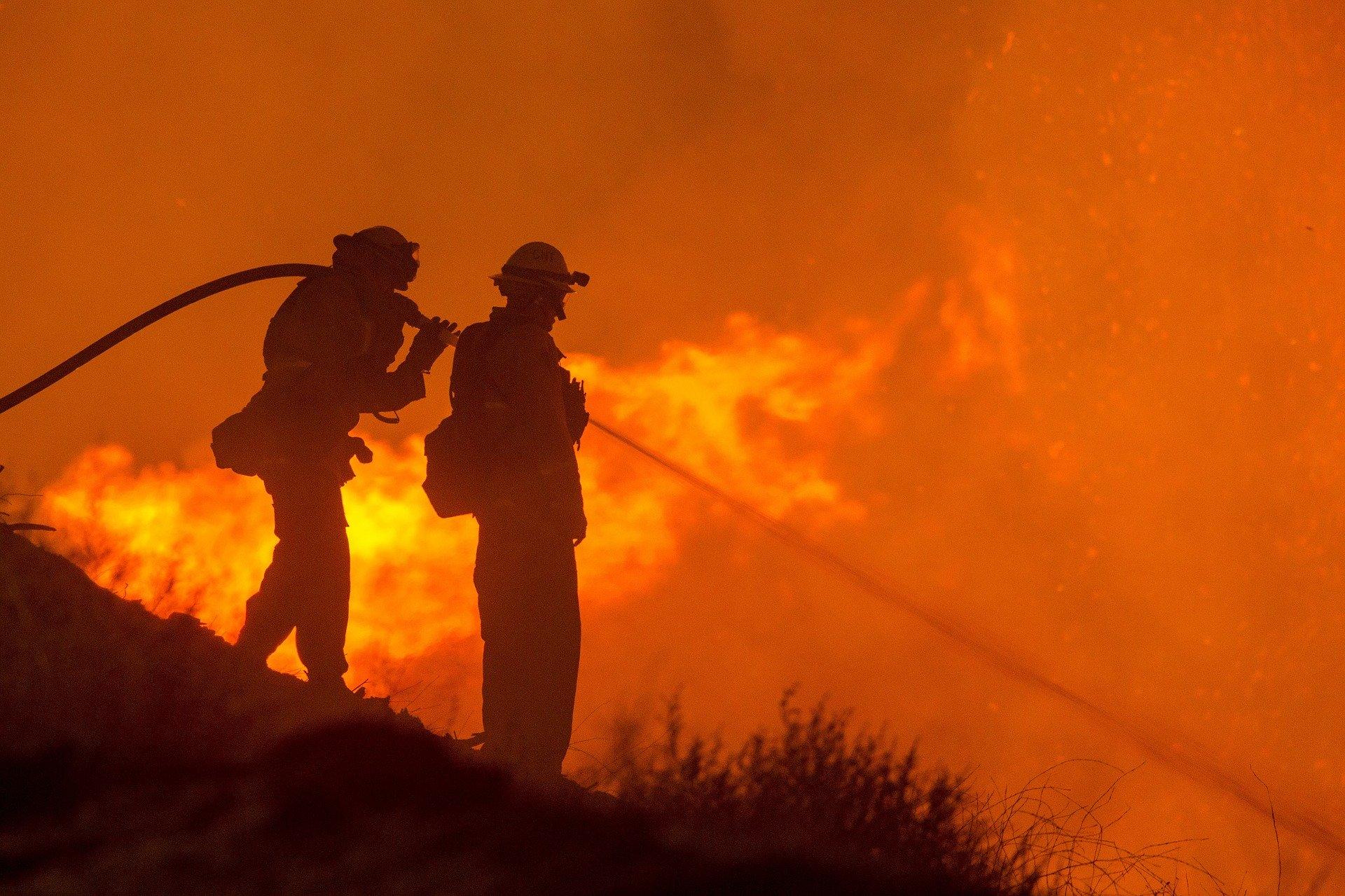 Brandmän som släcker en skogsbrand