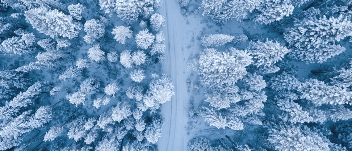 Vinterväg kantad med träd som är frostiga. Bilden är tagen uppifrån.
